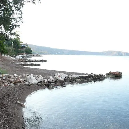 Vila Vivari מלון 3*