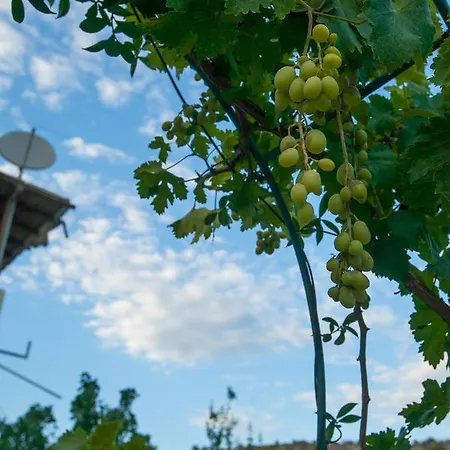 Vila Vivari מלון Vivári