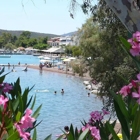 מלון Vila Vivari Vivári