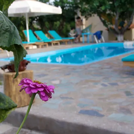 Vila Vivari מלון Vivári