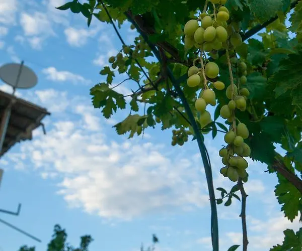 Vila Vivari Отель Вивари