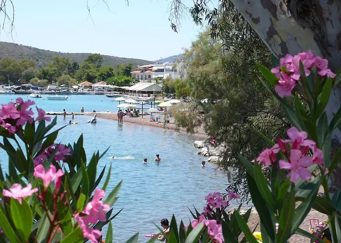 Hotel Vila Vivari Vivári